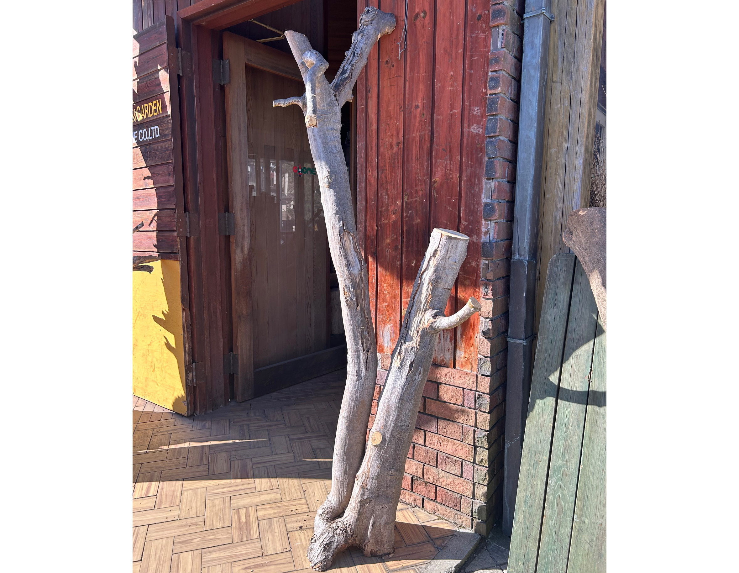 �L���b�g�^���[