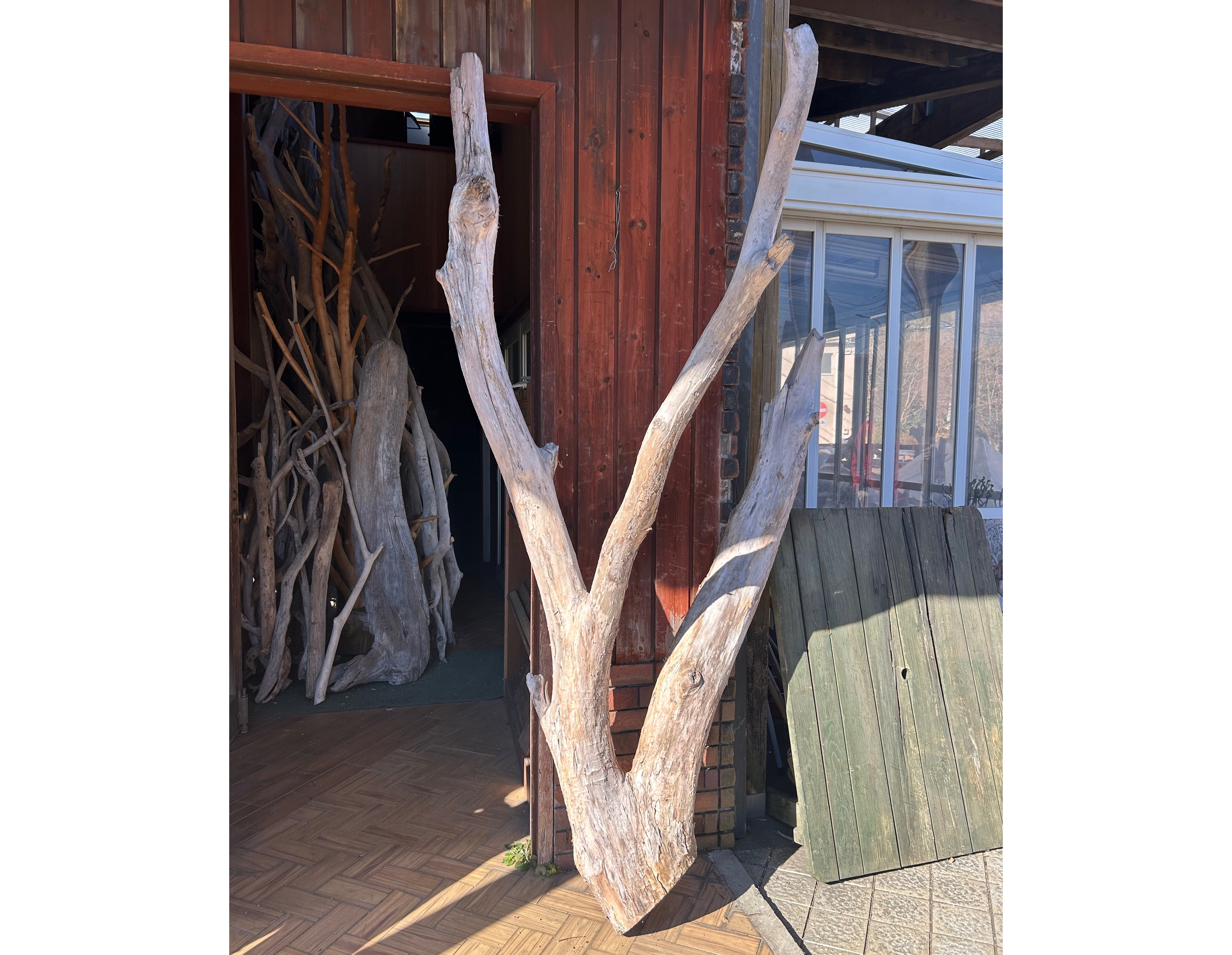 �L���b�g�c���[